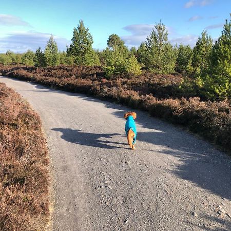 Stelvio Apartman Aviemore Kültér fotó